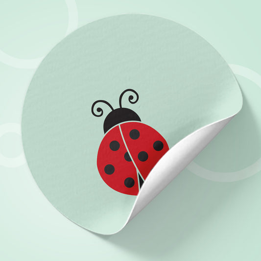 Ladybug